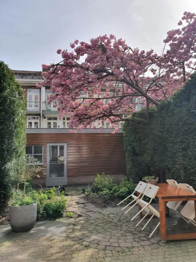 Appartement te huur aan de Heemstedestraat in Amsterdam