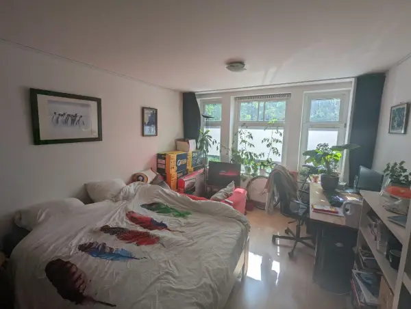 Kamer te huur aan de Heemraadssingel in Rotterdam