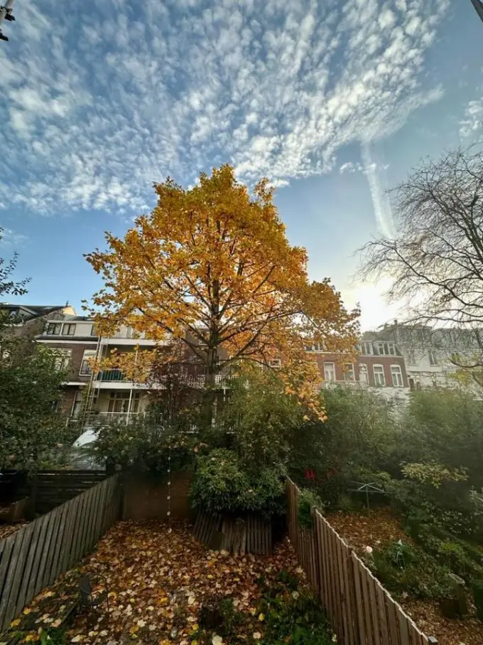 Appartement te huur aan de Buys Ballotstraat in Utrecht