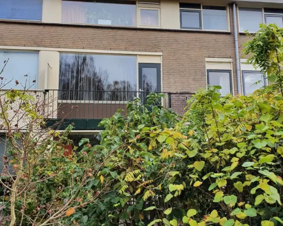 Kamer te huur aan de Staringstraat in Hengelo