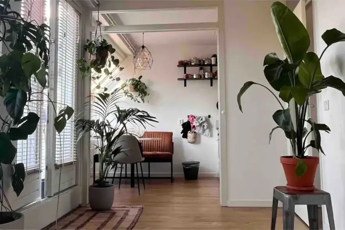 Appartement te huur aan de Eerste Van Swindenstraat in Amsterdam