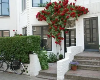 Kamer te huur aan de Doornstraat in Den Haag