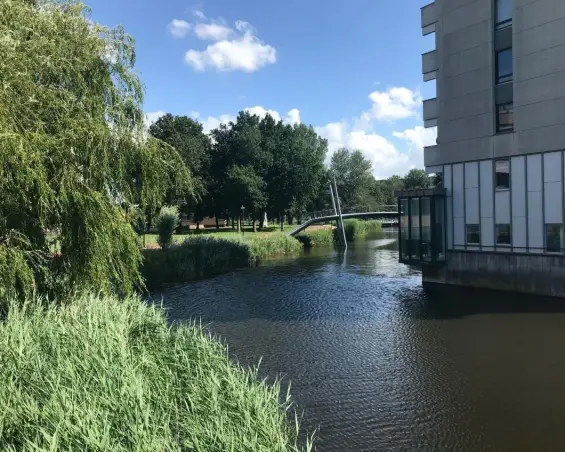 Kamer te huur aan de Grubbehoeve in Amsterdam